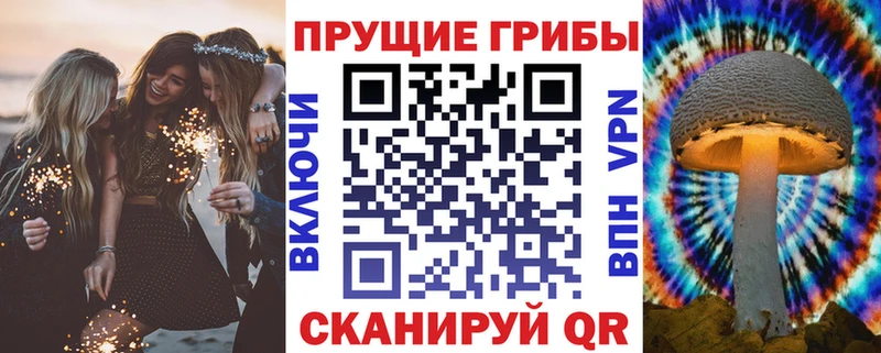 где можно купить наркотик  Красноперекопск  Псилоцибиновые грибы Psilocybe 