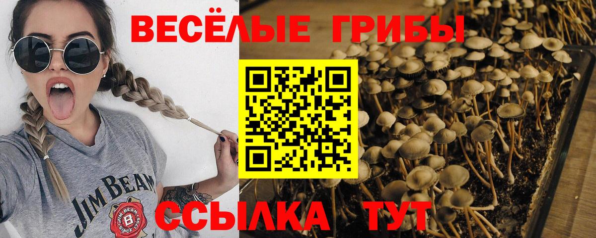 Красноперекопск  наркошоп  Вход с VPN  Галлюциногенные грибы Psilocybe 